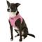 Show in main carousel: Puppia Vest Polyester Step In Back Clip Dog Harness, Pink, X-Large: 20.4-in chest slide 3 of 11
