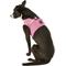 Show in main carousel: Puppia Vest Polyester Step In Back Clip Dog Harness, Pink, X-Large: 20.4-in chest slide 4 of 11