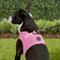 Show in main carousel: Puppia Vest Polyester Step In Back Clip Dog Harness, Pink, X-Large: 20.4-in chest slide 5 of 11