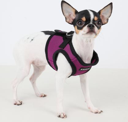 Show full view: Puppia Vest Polyester Step In Back Clip Dog Harness, Purple, Medium: 13.1 to 13.9-in chest slide 5 of 9