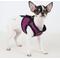 Show in main carousel: Puppia Vest Polyester Step In Back Clip Dog Harness, Purple, Small: 10.8 to 11.2-in chest slide 4 of 8