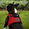 Show in main carousel: Puppia Vest Polyester Step In Back Clip Dog Harness, Red, Large: 16.9-in chest slide 5 of 11