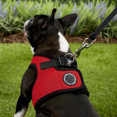 Show full view: Puppia Vest Polyester Step In Back Clip Dog Harness, Red, Large: 16.9-in chest slide 5 of 11