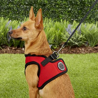 Show full view: Puppia Vest Polyester Step In Back Clip Dog Harness, Red, Medium: 15.4-in chest slide 5 of 11