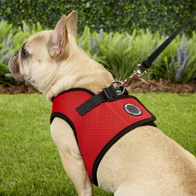Show full view: Puppia Vest Polyester Step In Back Clip Dog Harness, Red, X-Large: 20.4-in chest slide 6 of 12