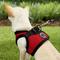 Show in main carousel: Puppia Vest Polyester Step In Back Clip Dog Harness, Red, X-Small slide 5 of 11
