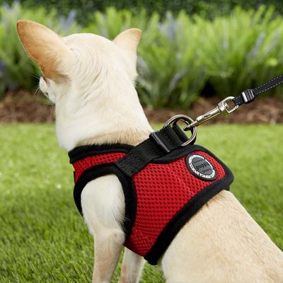Show full view: Puppia Vest Polyester Step In Back Clip Dog Harness, Red, X-Small slide 5 of 11