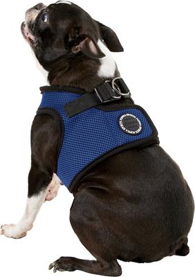 Show full view: Puppia Vest Polyester Step In Back Clip Dog Harness, Royal Blue, Large slide 5 of 12