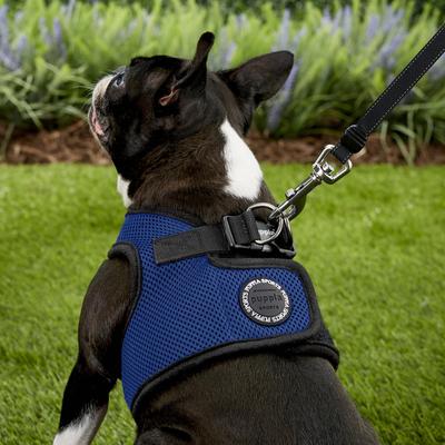 Show full view: Puppia Vest Polyester Step In Back Clip Dog Harness, Royal Blue, Large slide 6 of 12