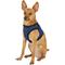 Show in main carousel: Puppia Vest Polyester Step In Back Clip Dog Harness, Royal Blue, Medium slide 3 of 11