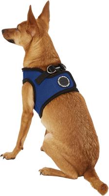 Show full view: Puppia Vest Polyester Step In Back Clip Dog Harness, Royal Blue, Medium slide 4 of 11
