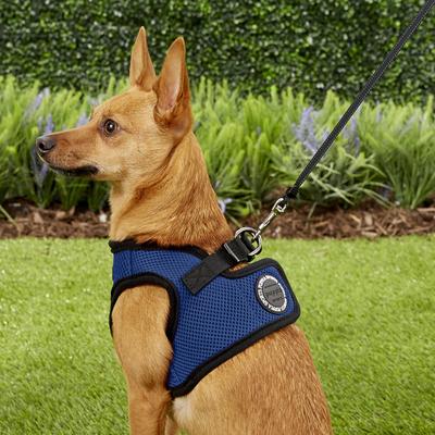 Show full view: Puppia Vest Polyester Step In Back Clip Dog Harness, Royal Blue, Medium slide 5 of 11