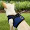 Show in main carousel: Puppia Vest Polyester Step In Back Clip Dog Harness, Royal Blue, X-Small slide 5 of 11