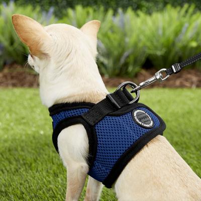 Show full view: Puppia Vest Polyester Step In Back Clip Dog Harness, Royal Blue, X-Small slide 5 of 11