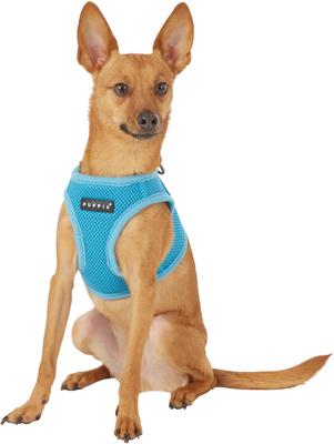 Show full view: Puppia Vest Polyester Step In Back Clip Dog Harness, Sky Blue, Medium: 15.4-in chest slide 3 of 11