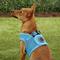Show in main carousel: Puppia Vest Polyester Step In Back Clip Dog Harness, Sky Blue, Medium: 15.4-in chest slide 5 of 11