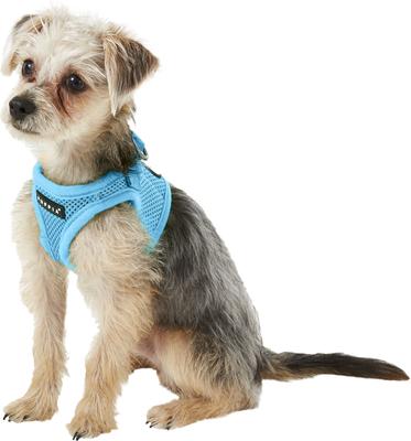 Show full view: Puppia Vest Polyester Step In Back Clip Dog Harness, Sky Blue, Small: 11.2-in chest slide 3 of 11