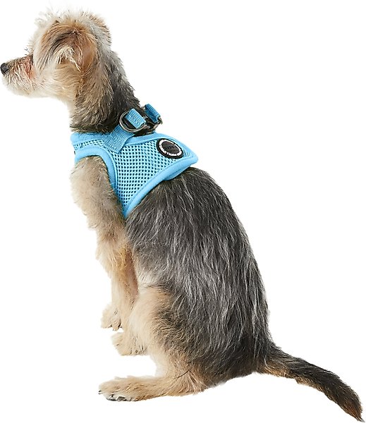 how to put on a puppia harness