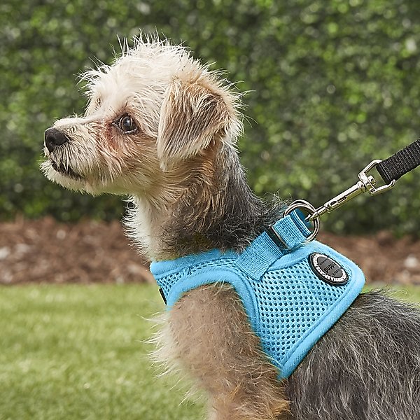 Show full view: Puppia Vest Polyester Step In Back Clip Dog Harness, Sky Blue, Small: 11.2-in chest slide 5 of 11