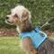 Show in main carousel: Puppia Vest Polyester Step In Back Clip Dog Harness, Sky Blue, Small: 11.2-in chest slide 5 of 11