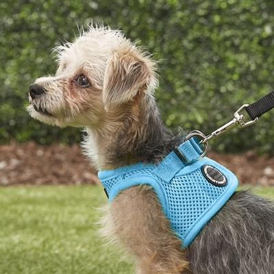 Show full view: Puppia Vest Polyester Step In Back Clip Dog Harness, Sky Blue, Small: 11.2-in chest slide 5 of 11