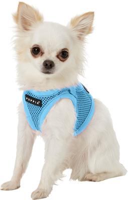 Show full view: Puppia Vest Polyester Step In Back Clip Dog Harness, Sky Blue, X-Small slide 3 of 11