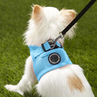 Show full view: Puppia Vest Polyester Step In Back Clip Dog Harness, Sky Blue, X-Small slide 5 of 11