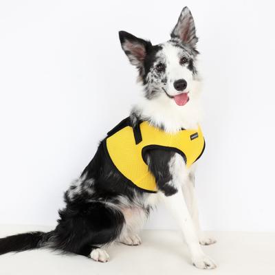 Show full view: Puppia Vest Polyester Step In Back Clip Dog Harness, Yellow, Small: 10.8 to 11.2-in chest slide 5 of 9