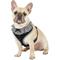 Show in main carousel: Puppia Vivien A Style Polyester Back Clip Dog Harness, Black, Large: 20 to 29-in chest slide 4 of 11