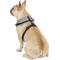 Show in main carousel: Puppia Vivien A Style Polyester Back Clip Dog Harness, Black, Large: 20 to 29-in chest slide 5 of 11