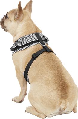 Show full view: Puppia Vivien A Style Polyester Back Clip Dog Harness, Black, Large: 20 to 29-in chest slide 5 of 11