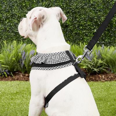 Show full view: Puppia Vivien A Style Polyester Back Clip Dog Harness, Black, Large: 20 to 29-in chest slide 6 of 11