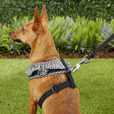 Show full view: Puppia Vivien A Style Polyester Back Clip Dog Harness, Black, Medium: 15 to 22-in chest slide 5 of 10