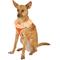 Show in main carousel: Puppia Vivien A Style Polyester Back Clip Dog Harness, Orange, Medium: 15 to 22-in chest slide 3 of 10