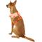 Show in main carousel: Puppia Vivien A Style Polyester Back Clip Dog Harness, Orange, Medium: 15 to 22-in chest slide 4 of 10