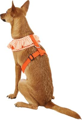 Show full view: Puppia Vivien A Style Polyester Back Clip Dog Harness, Orange, Medium: 15 to 22-in chest slide 4 of 10