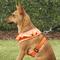 Show in main carousel: Puppia Vivien A Style Polyester Back Clip Dog Harness, Orange, Medium: 15 to 22-in chest slide 5 of 10