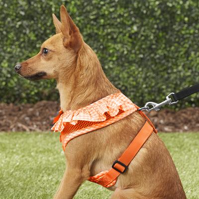 Show full view: Puppia Vivien A Style Polyester Back Clip Dog Harness, Orange, Medium: 15 to 22-in chest slide 5 of 10