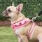 Show in main carousel: Puppia Vivien A Style Polyester Back Clip Dog Harness, Pink, Large: 20 to 29-in chest slide 5 of 10