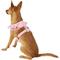 Show in main carousel: Puppia Vivien A Style Polyester Back Clip Dog Harness, Pink, Medium: 15 to 22-in chest slide 4 of 10