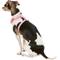Show in main carousel: Puppia Vivien A Style Polyester Back Clip Dog Harness, Pink, Small: 12 to 17.5-in chest slide 5 of 11