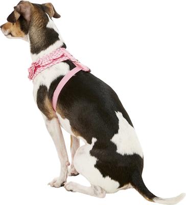 Show full view: Puppia Vivien A Style Polyester Back Clip Dog Harness, Pink, Small: 12 to 17.5-in chest slide 5 of 11