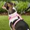 Show in main carousel: Puppia Vivien A Style Polyester Back Clip Dog Harness, Pink, Small: 12 to 17.5-in chest slide 6 of 11