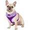 Show in main carousel: Puppia Vivien A Style Polyester Back Clip Dog Harness, Purple, Large: 20 to 29-in chest slide 3 of 10
