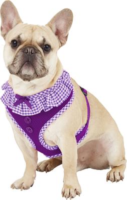 Show full view: Puppia Vivien A Style Polyester Back Clip Dog Harness, Purple, Large: 20 to 29-in chest slide 3 of 10