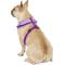 Show in main carousel: Puppia Vivien A Style Polyester Back Clip Dog Harness, Purple, Large: 20 to 29-in chest slide 4 of 10