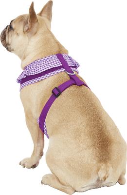 Show full view: Puppia Vivien A Style Polyester Back Clip Dog Harness, Purple, Large: 20 to 29-in chest slide 4 of 10
