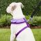 Show in main carousel: Puppia Vivien A Style Polyester Back Clip Dog Harness, Purple, Large: 20 to 29-in chest slide 5 of 10