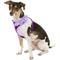 Show in main carousel: Puppia Vivien A Style Polyester Back Clip Dog Harness, Purple, Small: 12 to 17.5-in chest slide 4 of 11