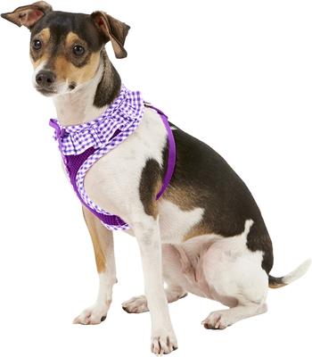 Show full view: Puppia Vivien A Style Polyester Back Clip Dog Harness, Purple, Small: 12 to 17.5-in chest slide 4 of 11